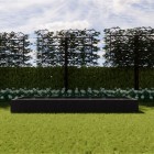 Afbeelding18